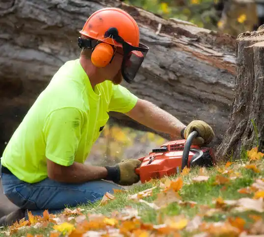 tree services Mesquite